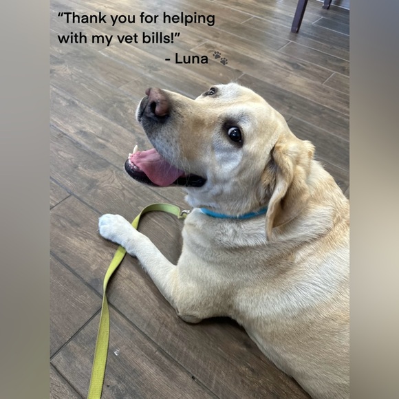 Unique Vintage Light Blue & Blooming Floral Print Button Up Swing Dress NWT L - Picture 10 of 10